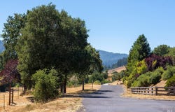 W Nicasio Road, Nicasio, CA 94946