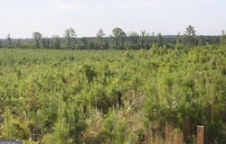 Balerma Church Road, Sparta, GA 31087