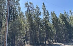 27 Surveyor Rd, CrescentLake, OR 97733