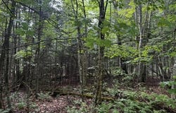 44 Dore Hill Road, Athens, ME 04912