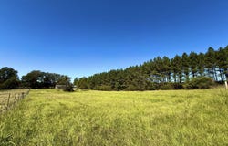 206 Barker Road, Morton, MS 39117