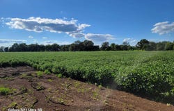Masonville Road, McGehee, AR 71654