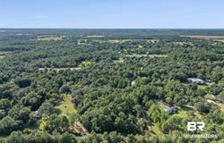 Route Road, Lillian, AL 36549
