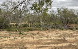 137 SYLASHAYES LOOP, Pleasanton, TX 78064