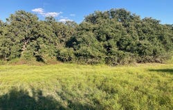 CR 517, Stephenville, TX 76401