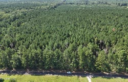 Davis Road, Morton, MS 39117