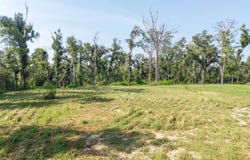 SW 77TH BLVD, Jasper, FL 32052
