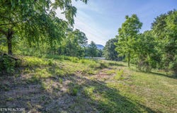 Wood Lane, Luttrell, TN 37779