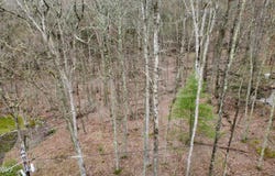 Mountain Snow Circle lot: 733, Tafton, PA 18464