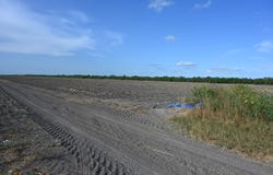 TBD-4 Bixby Rd, La Feria, TX 78570