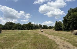 Wallace Mill Rd, Leighton, AL 35646