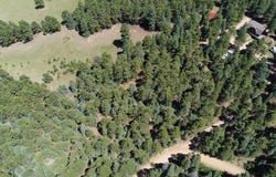 10940 Bartlett Trail, Rye, CO 81069