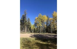 Vail Loop lot: 363, Angel Fire, NM 87710