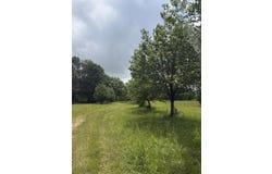 1510 State Highway Z, Bruner, MO 65620