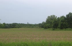 TBD-1 120th Avenue, Ogilvie, MN 56358