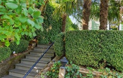 2524 E Ward Street, Seattle, WA 98112