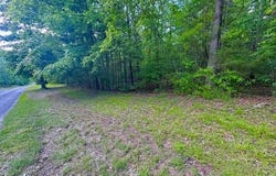 Lick Fork Drive, Mountain View, AR 72560