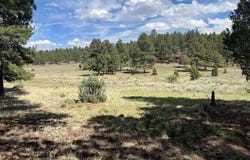 White Tail Lane, Ridgway, CO 81432
