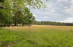 330 LICK CREEK Rd, Michie, TN 38357