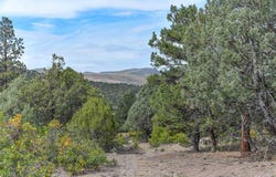County Road 7A, Ridgway, CO 81432