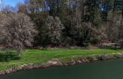 NW 339th St, LaCenter, WA 98629