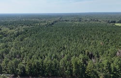 Davis Road, Morton, MS 39117