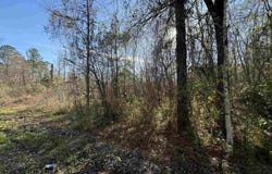 Joe Lee Rd lot: 4-A, Walker, LA 70785