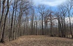 290th Avenue, New Auburn, WI 54757