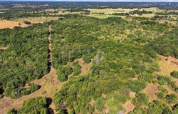 TR 11 HCR 1335, Whitney, TX 76692