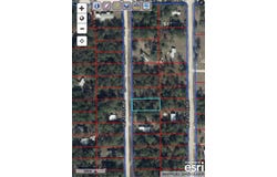 NE 141 Avenue, WILLISTON, FL 32696