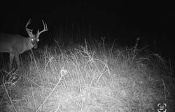 6 Forest Service Road 562, Pulaski, MS 39152