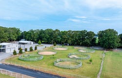 2802 Saddle Creek Rd, Hazen, AR 72064