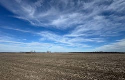 Holt 220, Bigelow, MO 64437