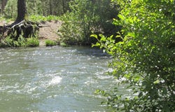 443 Feather River Drive, Chester, CA 96020