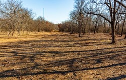 202 Tillery, Perrin, TX 76486