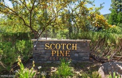 279 E Jeffrey Pine Road lot: B/7, Reno, NV 89511