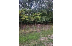1 Live Oak Lane, Linn Valley, KS 66040