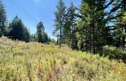 2599 SCOTT Rd, RICE, WA 99167
