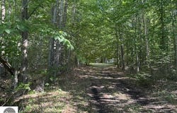 V/L Phelps Road, Lake City, MI 49651