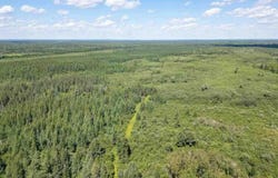Road Access, Cotton, MN 55724