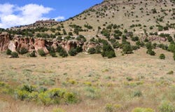 Tract 43 Wapiti Ridge Road, Del Norte, CO 81132