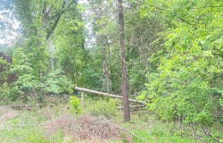 First St, Eden, NC 27288