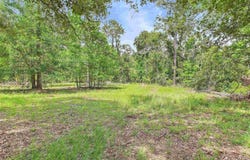 Beach Road, Perry, FL 32348
