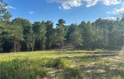 Lott Road, Chunchula, AL 36521