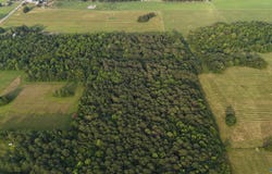 2703 Hwy 36 E, Hartselle, AL 35640