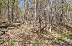 269 Hawkins Road, Wallingford, VT 05773