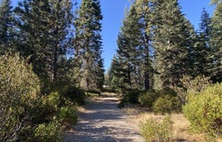 4-H-6 & 7 Ridge Dr, McCloud, CA 96057
