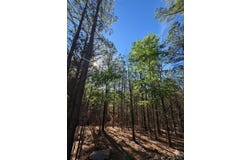 32 Dawnview Way Trail, Broken Bow, OK 74728