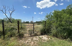 Orange Grove, TX 78372