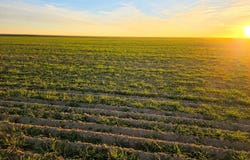 Shumaker Rd, Bennett, CO 80102